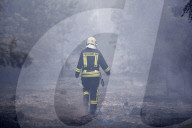 NEWS - Deutschland: Waldbrände in Brandenburg