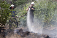 NEWS - Deutschland: Waldbrände in Brandenburg