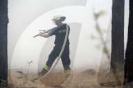 NEWS - Deutschland: Waldbrände in Brandenburg