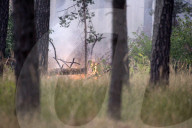 NEWS - Deutschland: Waldbrände in Brandenburg