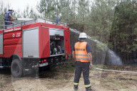 NEWS - Deutschland: Waldbrände in Brandenburg