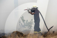 NEWS - Deutschland: Waldbrände in Brandenburg