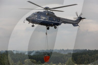 NEWS - Deutschland: Waldbrände in Brandenburg