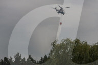 NEWS - Deutschland: Waldbrände in Brandenburg