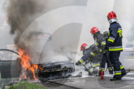 FEATURE - Pix of the Day: Bilder des Tages