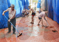 FEATURE - Spanien: La Tomatina in Buñol