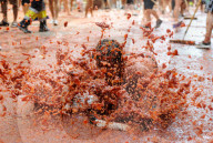 FEATURE - Spanien: La Tomatina in Buñol
