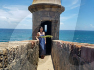 FEATURE - Schnappschuss: Der Leguan springt durchs Bild