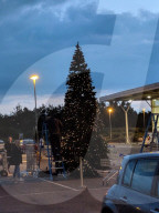 FEATURE - Supermarkt in Cambridge ist der erste in Großbritannien, der schon einen Weihnachtsbaum aufgestellt hat