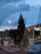 FEATURE - Supermarkt in Cambridge ist der erste in Großbritannien, der schon einen Weihnachtsbaum aufgestellt hat