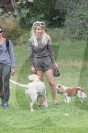 PEOPLE - Julianne Hough geht mit den Hunden Gassi