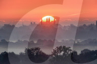 FEATURE - Pix of the Day: Bilder des Tages