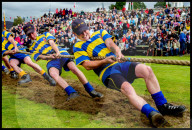 FEATURE - Pix of the Day: Bilder des Tages