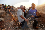 FEATURE - Pix of the Day: Bilder des Tages