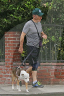 PEOPLE - Bob Odenkirk geht mit dem Hund Gassi