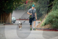 PEOPLE - Bob Odenkirk geht mit dem Hund Gassi