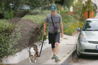 PEOPLE - Bob Odenkirk geht mit dem Hund Gassi