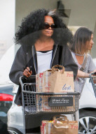 PEOPLE - Sturmfrisur: Diana Ross schiebt den vollen Einkaufswagen zum Auto