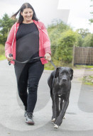 FEATURE - Doggen Welpe Arnie findet neues Zuhause