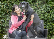 FEATURE - Doggen Welpe Arnie findet neues Zuhause