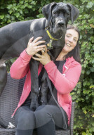 FEATURE - Doggen Welpe Arnie findet neues Zuhause