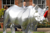 PEOPLE - Prinz William bestaunt die Nashorn Kunstwerke im Kensington Palast