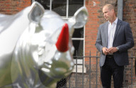 PEOPLE - Prinz William bestaunt die Nashorn Kunstwerke im Kensington Palast