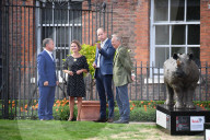 PEOPLE - Prinz William bestaunt die Nashorn Kunstwerke im Kensington Palast
