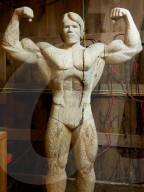 FEATURE - Aus besonderem Holz geschnitzt: Arnold Schwarzenegger posiert in Schwarz-Eiche