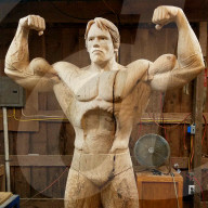 FEATURE - Aus besonderem Holz geschnitzt: Arnold Schwarzenegger posiert in Schwarz-Eiche