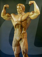 FEATURE - Aus besonderem Holz geschnitzt: Arnold Schwarzenegger posiert in Schwarz-Eiche