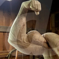 FEATURE - Aus besonderem Holz geschnitzt: Arnold Schwarzenegger posiert in Schwarz-Eiche