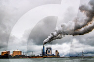 FEATURE - Pix of the Day: Bilder des Tages