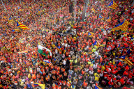 FEATURE - Pix of the Day: Bilder des Tages