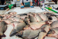 FEATURE - Pix of the Day: Bilder des Tages