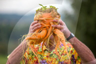 FEATURE - An der Harrogate Flowershow messen sich Züchter von Gigantengemüse