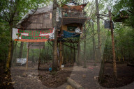 NEWS - Ausbau des Braunkohletagebaus: Die Polizei beginnt mit der Räumung vom Hambacher Forst