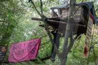 NEWS - Ausbau des Braunkohletagebaus: Die Polizei beginnt mit der Räumung vom Hambacher Forst