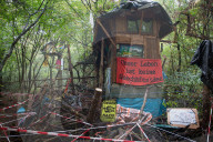 NEWS - Ausbau des Braunkohletagebaus: Die Polizei beginnt mit der Räumung vom Hambacher Forst