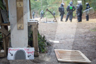 NEWS - Ausbau des Braunkohletagebaus: Die Polizei beginnt mit der Räumung vom Hambacher Forst