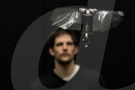 FEATURE - Wie eine Fliege: Der autonom fliegende Schlagflügelroboter