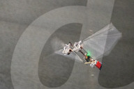 FEATURE - Wie eine Fliege: Der autonom fliegende Schlagflügelroboter
