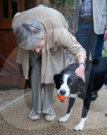 PEOPLE - Theresa May streichelt Bordercollie
