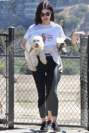 PEOPLE - Lucy Hale geht mit den Hunden Gassi