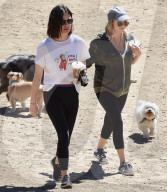 PEOPLE - Lucy Hale geht mit den Hunden Gassi