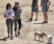 PEOPLE - Lucy Hale geht mit den Hunden Gassi