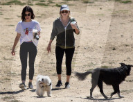PEOPLE - Lucy Hale geht mit den Hunden Gassi