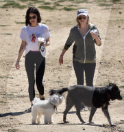 PEOPLE - Lucy Hale geht mit den Hunden Gassi