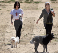 PEOPLE - Lucy Hale geht mit den Hunden Gassi