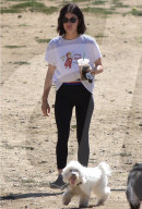 PEOPLE - Lucy Hale geht mit den Hunden Gassi
